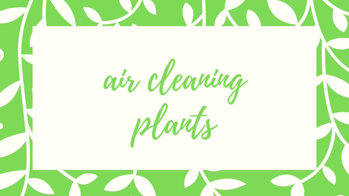 elesixth's tweet photo. https://t.co/9ZkP0ANCxT
yes, plants work  well to combat pollution ?  read how ☝️ come to our #green school to experience cleaner/ charged air. #Gurugram #children #school #southcity1 #sector72 #sector40 #sector31 #sector70 #tataprimanti #SPR #tataprimanti #spazeprivi #Sohnaroad https://t.co/jor9KxuZrG