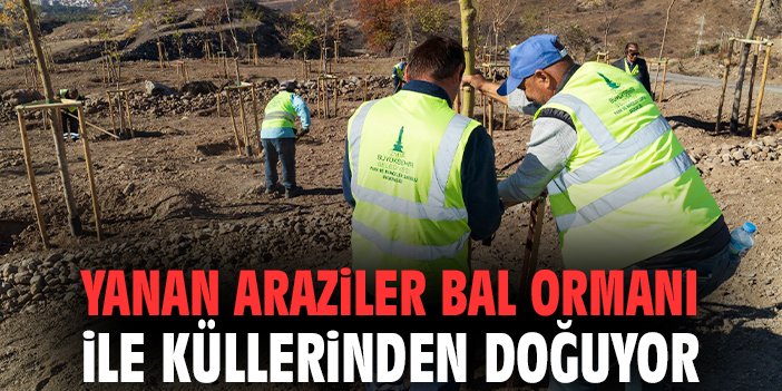 medyaegecomtr's tweet photo. Yanan araziler bal ormanı ile küllerinden doğuyor https://t.co/2XphXb8TEz 
@izmirbld  @drcemiltugay  
#izmir 
#ormanyangını 
#karşıyaka 
#n11'dekasım
#cumartesi
#alikocisitifa
Icardi
#galatasaraytottenham
#gsvtot
#azvfb
kislasiz bedelli askerlik
NARKOÇELİK-47
nusaybin iyovexsoftware
Okan