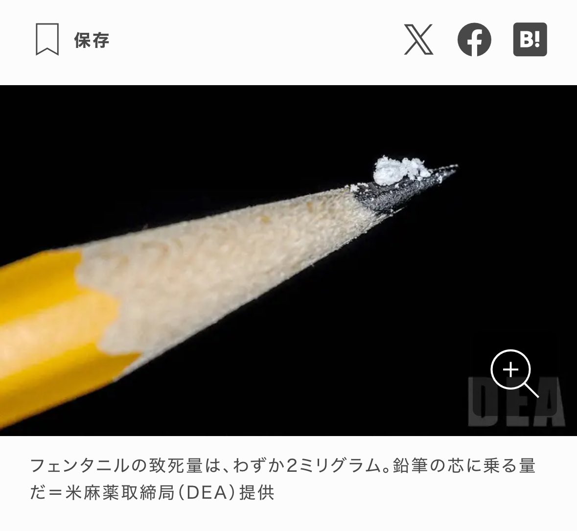 🌸たまちゃん🌸 tweet media