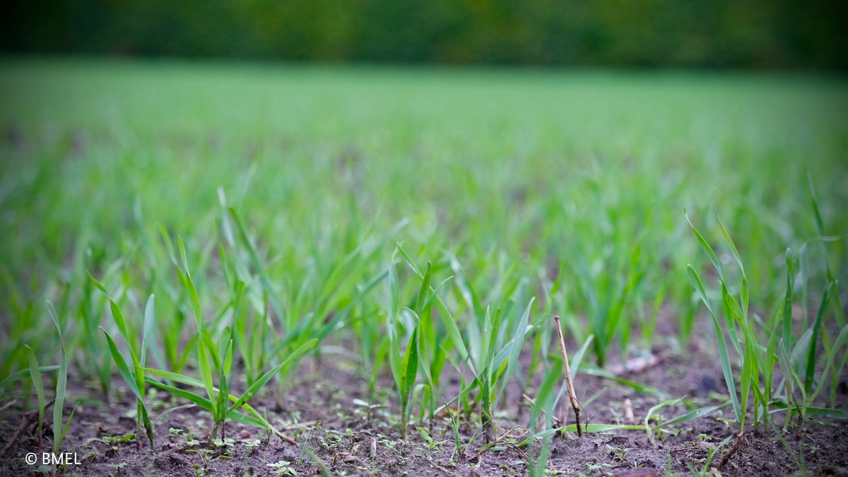 BMLEH Landwirtschaft · Ernährung · Heimat tweet media
