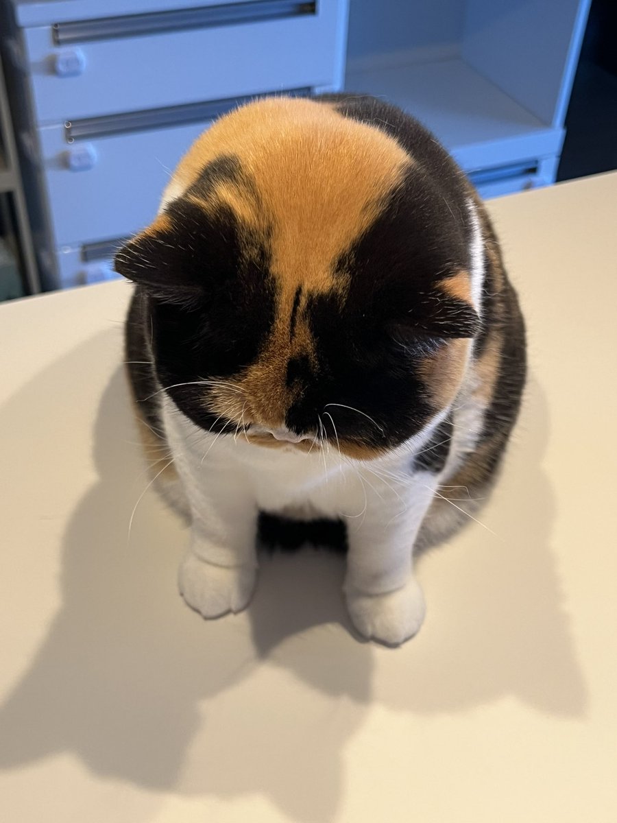 なでなでお願いします