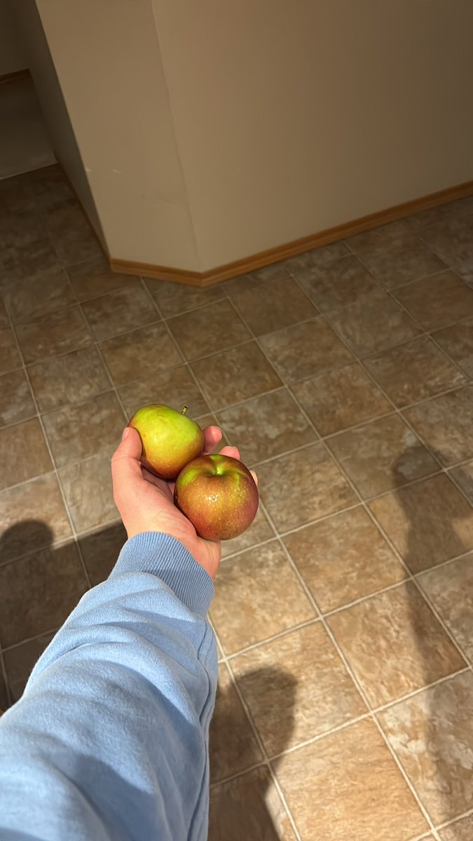 leewardkoo's tweet photo. omg my doctors gonna be PISSED 😅 https://t.co/r1dFuF8yub