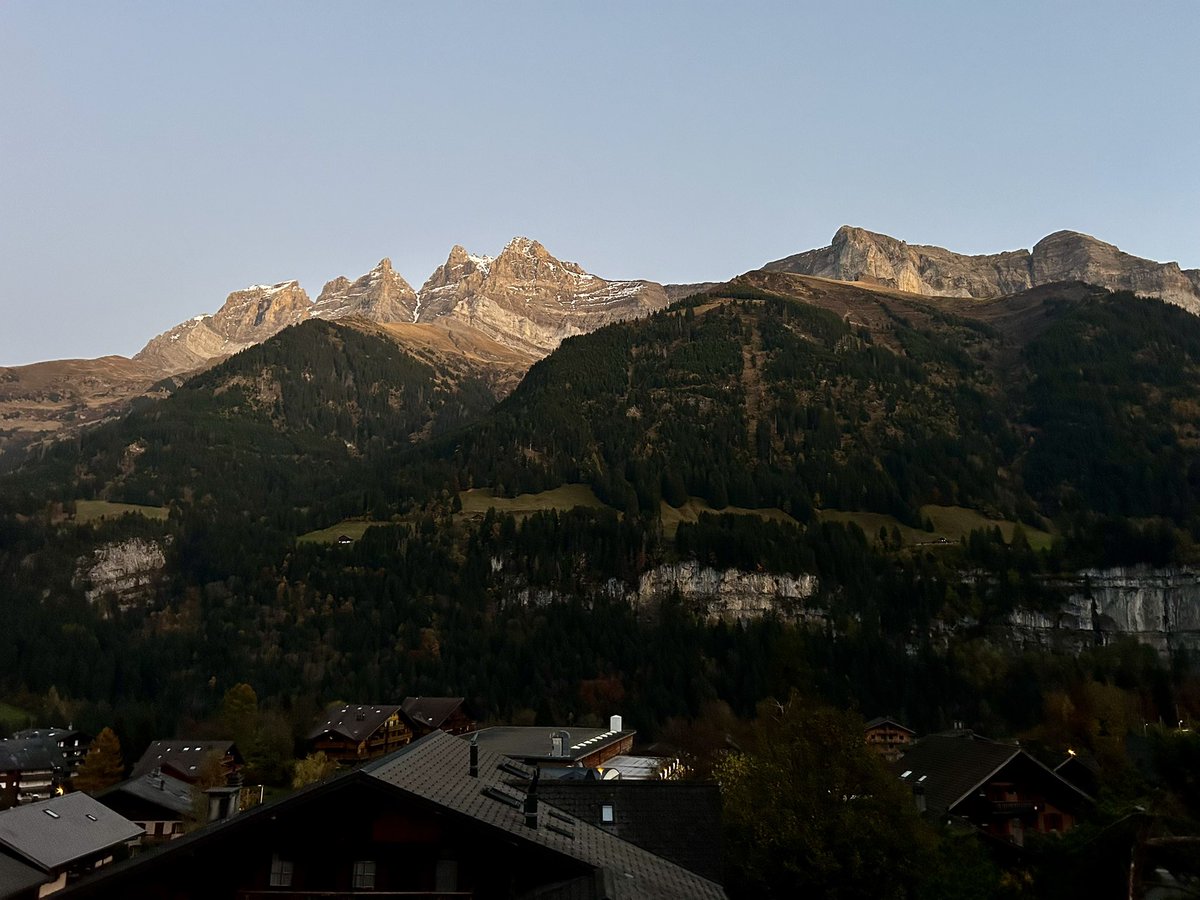 c_pizzichetti's tweet image. I had a fantastic time at the Cell Migration Retreat, meeting brilliant scientists and honored to win the best long presentation award! The location was breathtaking, making the experience unforgettable. Grateful for this opportunity to #connect, #learn, and #grow! #CellMigration