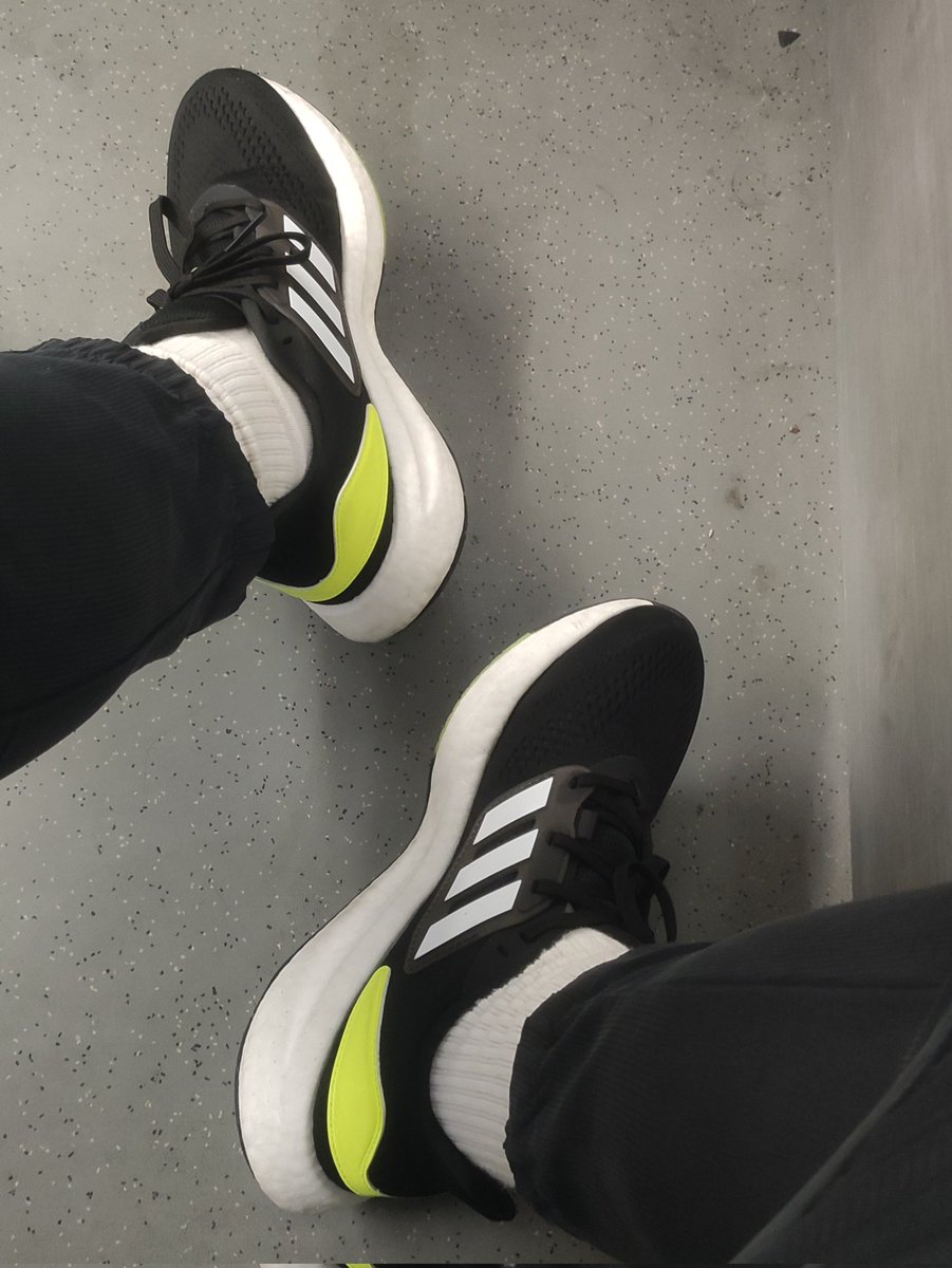 GBShose tweet media