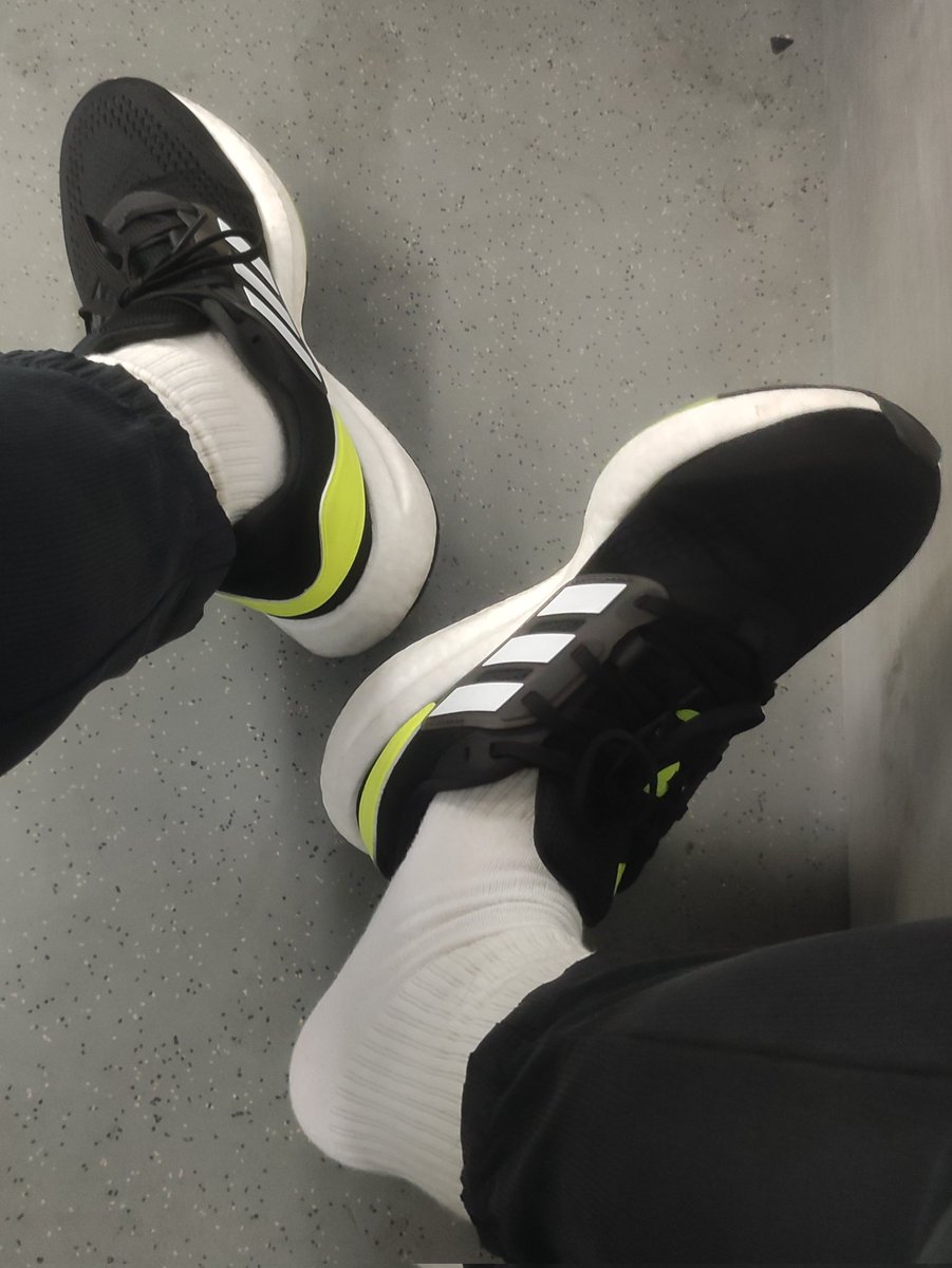 GBShose tweet media
