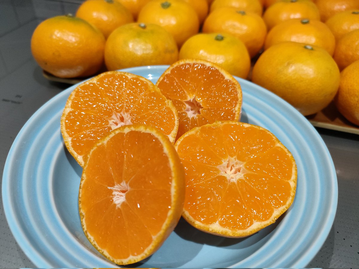 ブランドみかん