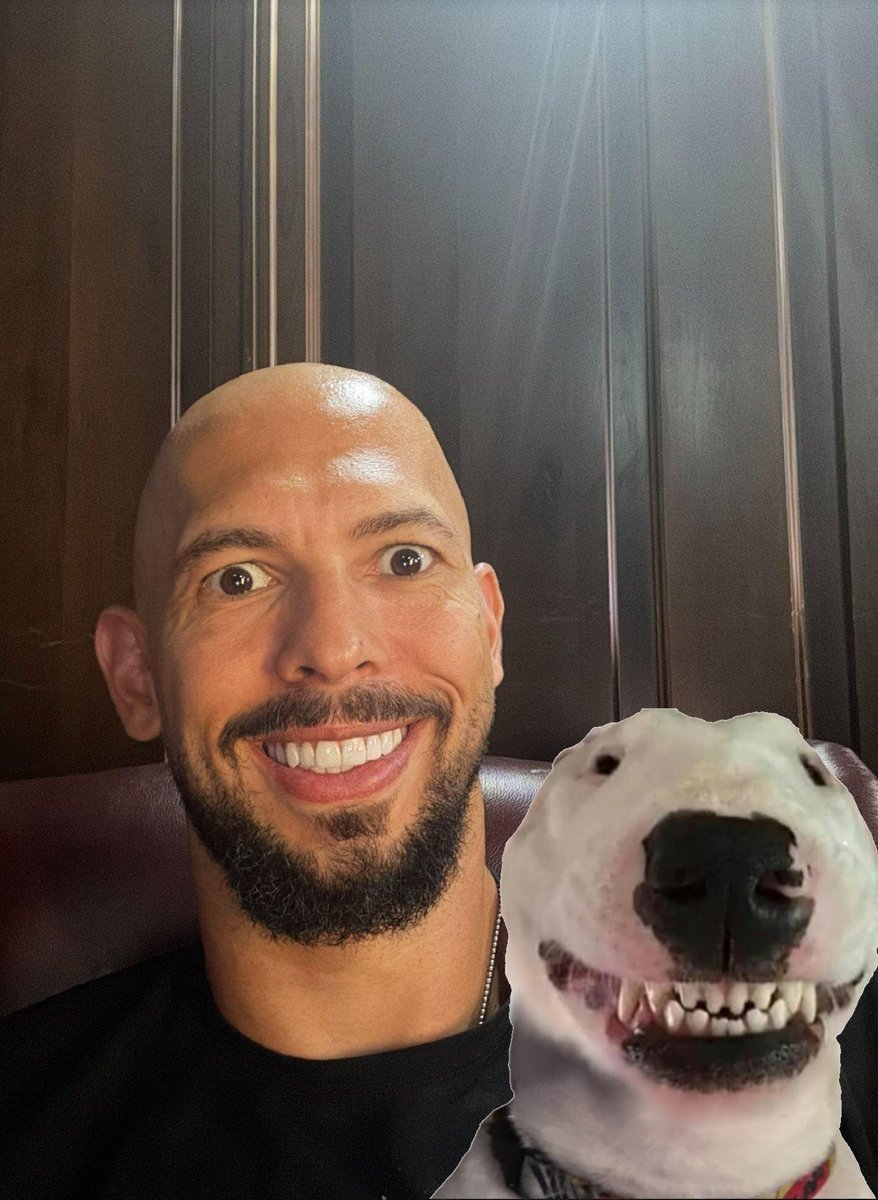 KarolMajchrzakJ's tweet image. $WALTER IS DOING GREAT 🚀🚀🚀