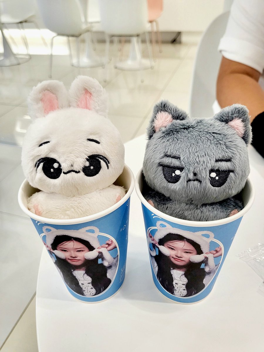 짐느짐느짐느🐰 tweet media