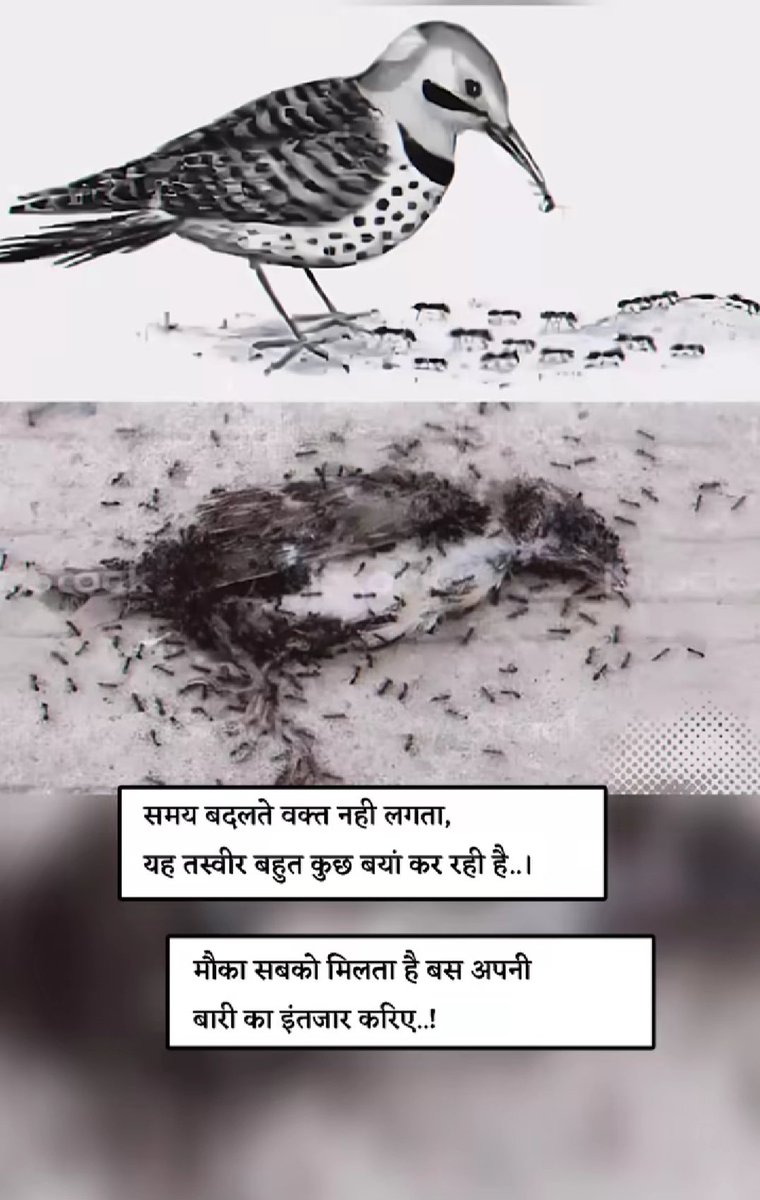 RAJESHY30767947's tweet image. Good afternoon friends 😍😍