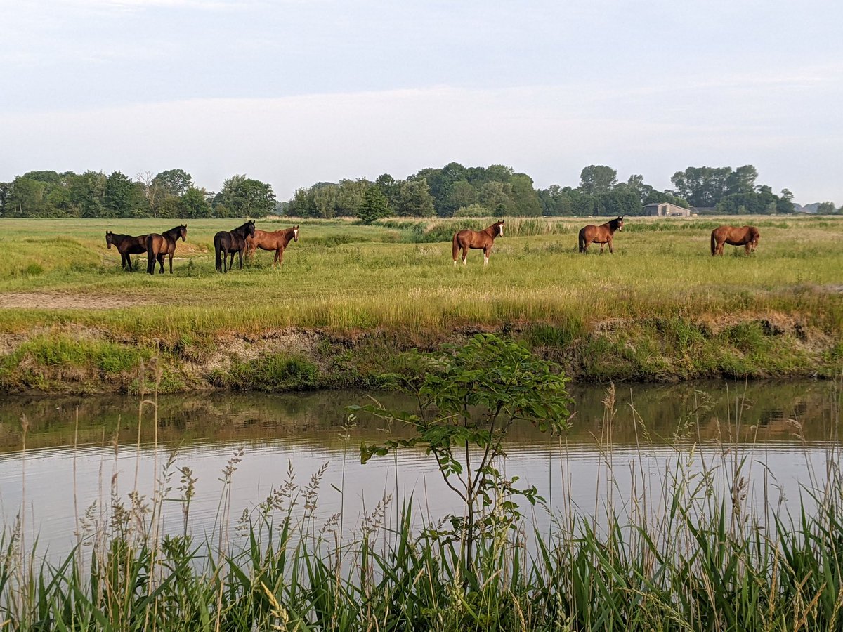 Nordwestroute's tweet photo. Moin... #Fedderwardersiel #butjadingen #nordsee #wesermarsch https://t.co/T16LdUjY1L