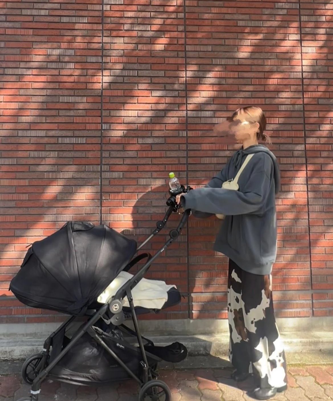 すももページ すもも (@sumomotter_)-এর হাইলাইট / X