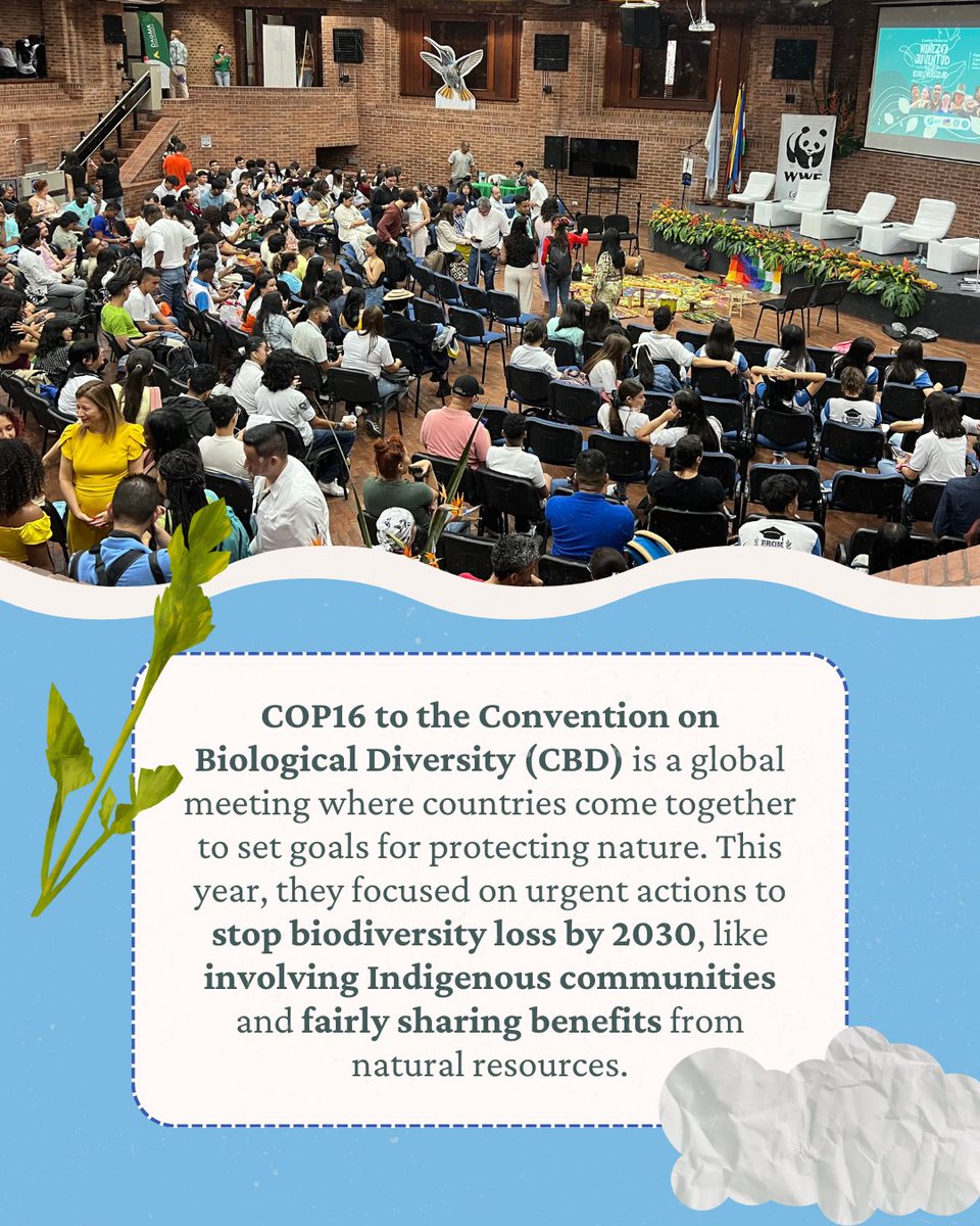 theiris_project's tweet photo. Our very own @franlaraf, an advisor at The Iris Project, just returned from CBD COP16 in Colombia! 🇨🇴

#YouthForNature #OceanConservation #CBDCOP16 #YouthForClimate https://t.co/2mu2FjIfz9