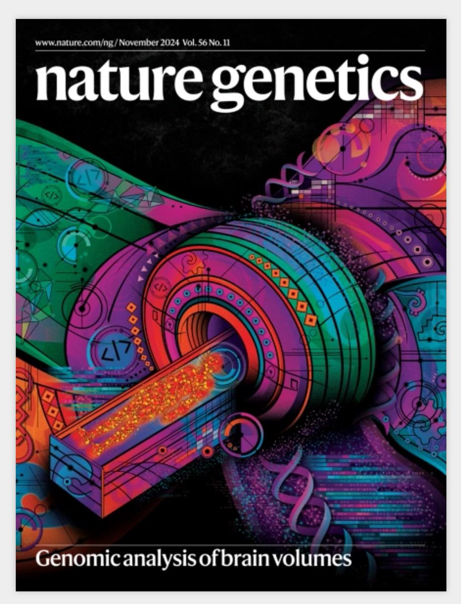 This month, <a href="/NatureGenet/">Nature Genetics</a>, features a beautiful cover of our study on the genetics of subcortical brain volumes. 

Link to the study: nature.com/articles/s4158…

Media release in EurekAlert!: eurekalert.org/news-releases/…

Link to our article in The Conversation: theconversation.com/how-do-genes-s…