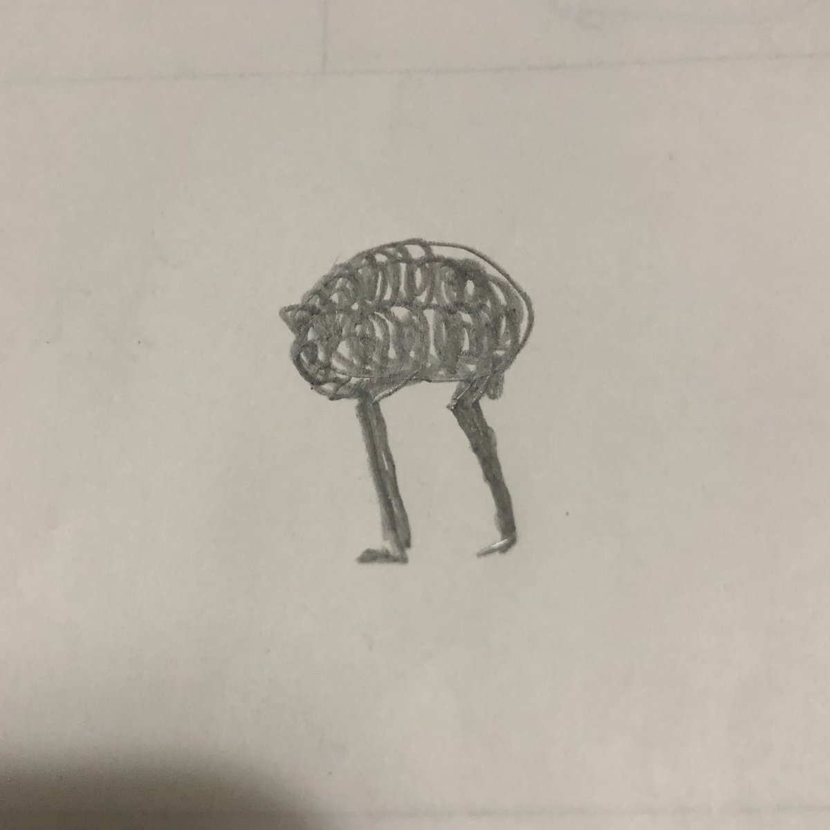 akana4033's tweet photo. これはね、喜び爆発の樋渡くんのお尻 https://t.co/HQXqksRU3D