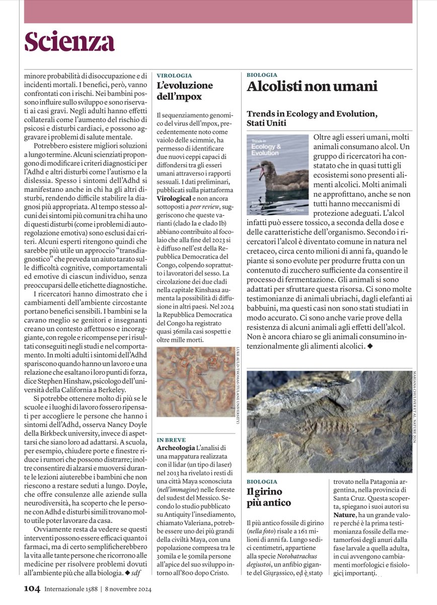 #RespiroUniversale 🌎🌍🌏
🌳💚🌈♻️🌊
👇
internazionale.it