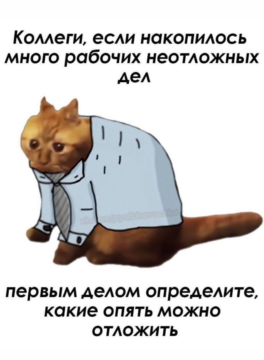 shushuler's tweet photo. @noburnmemes https://t.co/KwEQfh7mqt