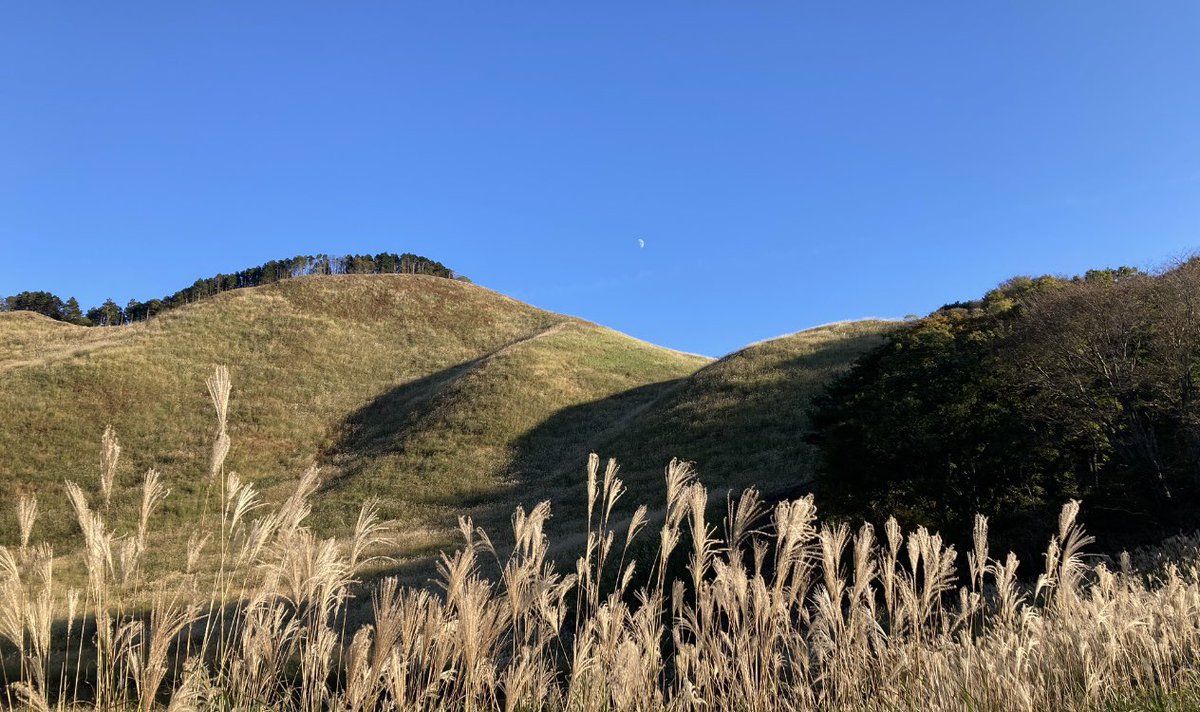 TWl8o's tweet photo. 曽爾高原、幻想的でした。
西には一面のすすきに夕日がさし、東は月🌙が顔を出してて絶景✨ https://t.co/iG6wBMW60p