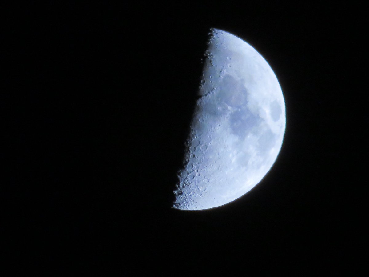 yoken8808's tweet photo. 上弦の月🌓 https://t.co/8q4N6mo5ai