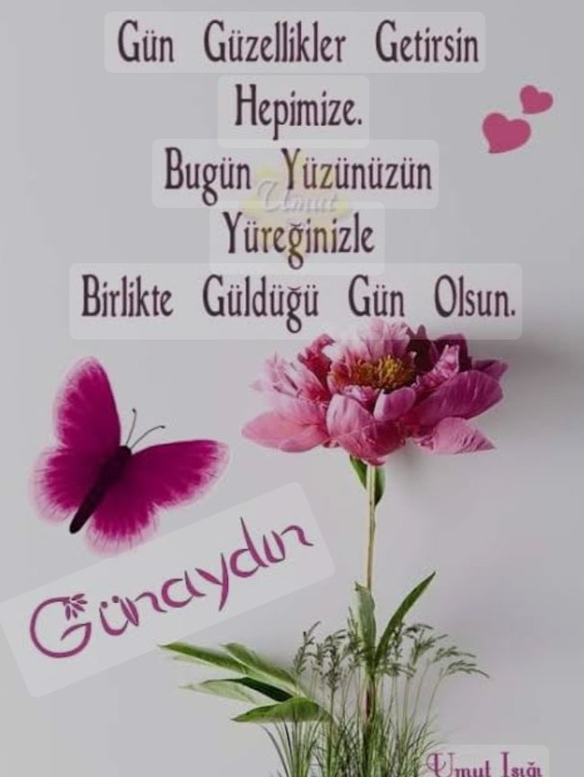 Günaydın 💛❤