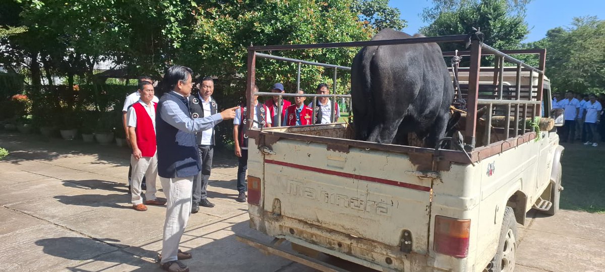 jacob_zhimomi's tweet photo. Immensely grateful to Chekiye Village Council, Chekiye Sümi Totimi Hoho and Chekiye Youth Front for the invaluable Ahuna gift of the priceless Mithun. Your gesture has touched me for which mere words are simply inadequate. 1/
@narendramodi @AmitShah @JPNadda @blsanthosh https://t.co/r2JGdDhP08