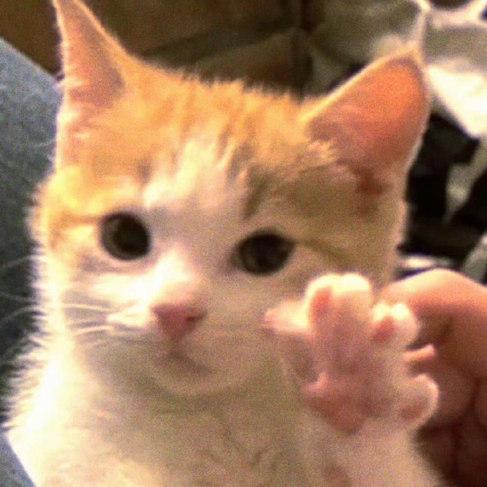 得能勇志 tweet media