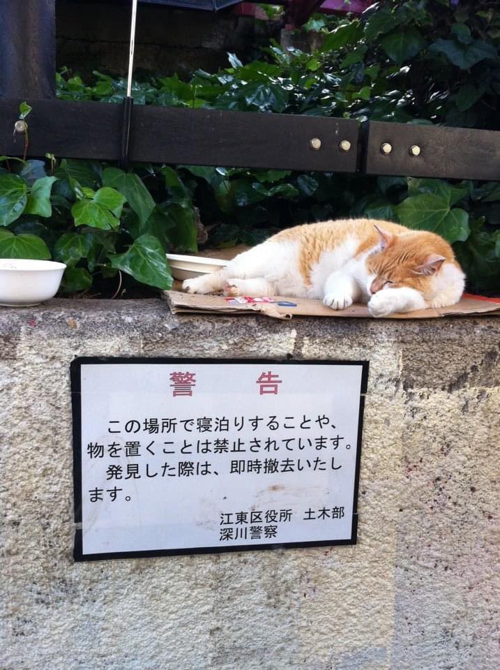 なんかいい看板bot tweet media