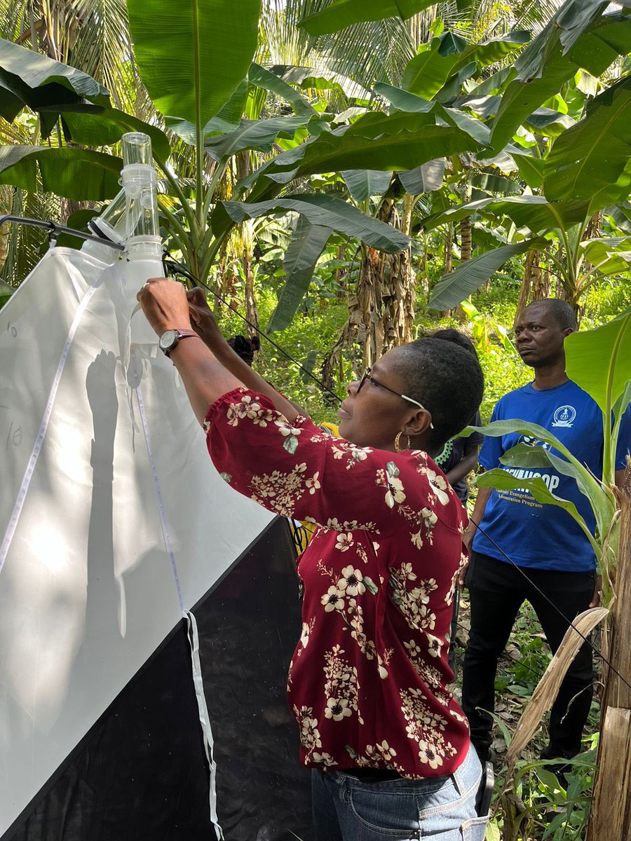 acdblab's tweet image. Grateful for the unwavering support of @arochaghana as we launch the NbS Project in Ghana. Their dedication has been instrumental in driving this project forward. Together, we’re building a brighter future for biodiversity. 

#NbSProject #Ghana