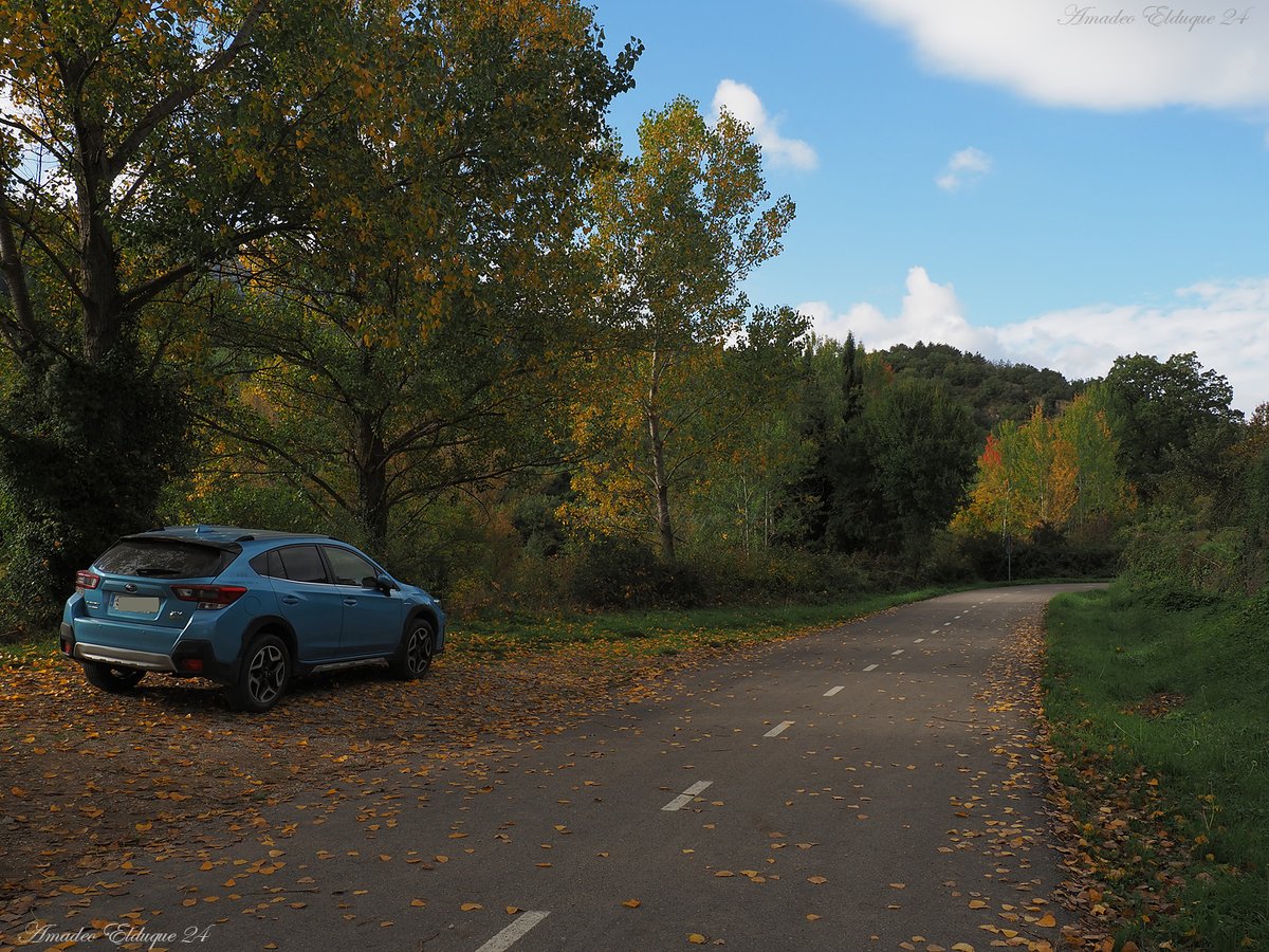 aelduque's tweet photo. Paseos en #otoño 😌.
📷2024-10-24
#Rasal #HoyadeHuesca, #Aragón, #Spain. https://t.co/NvGzJTTgVA