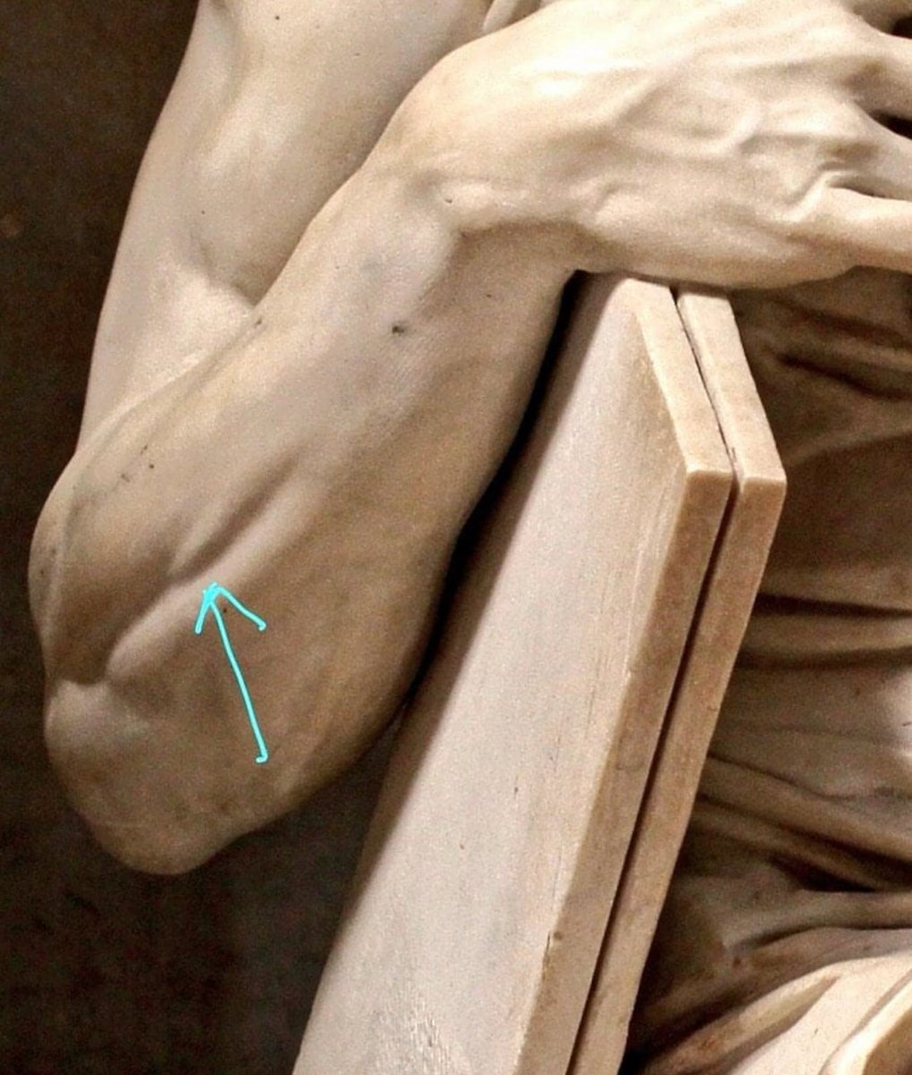 This is the right forearm of Michelangelo's Moses (c. 1513-1515) statue. 

The arrow points to a small muscle called the extensor digiti minimi, which only contracts when the pinky is lifted; otherwise, it is invisible.

Most of Michelangelo's sculptures are painstakingly
