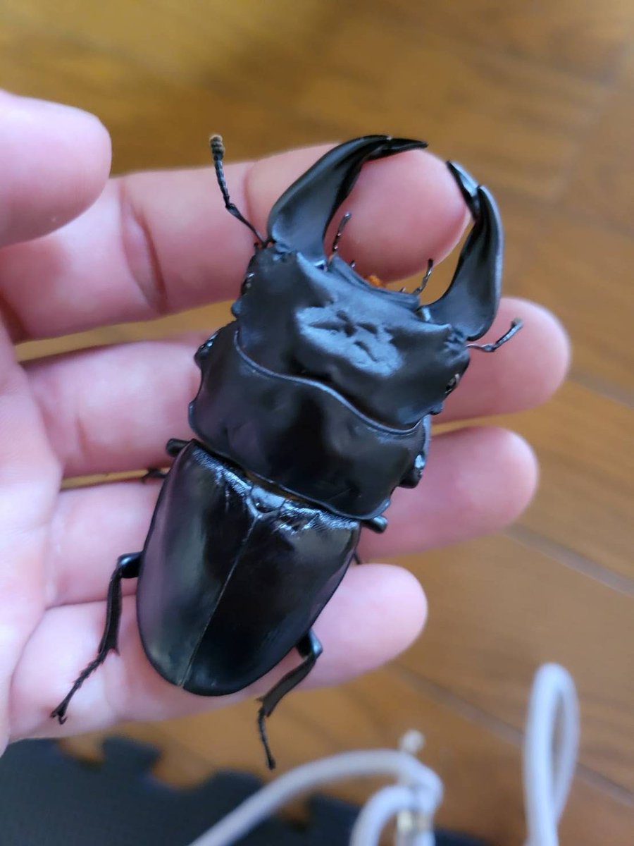 興味ある方問い合わせお願いします🙇