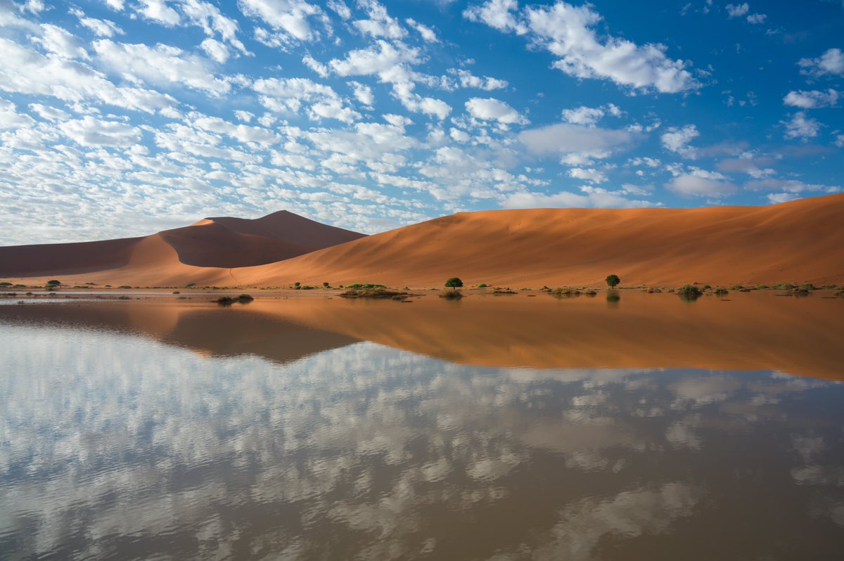 Alex de Kock tweet media