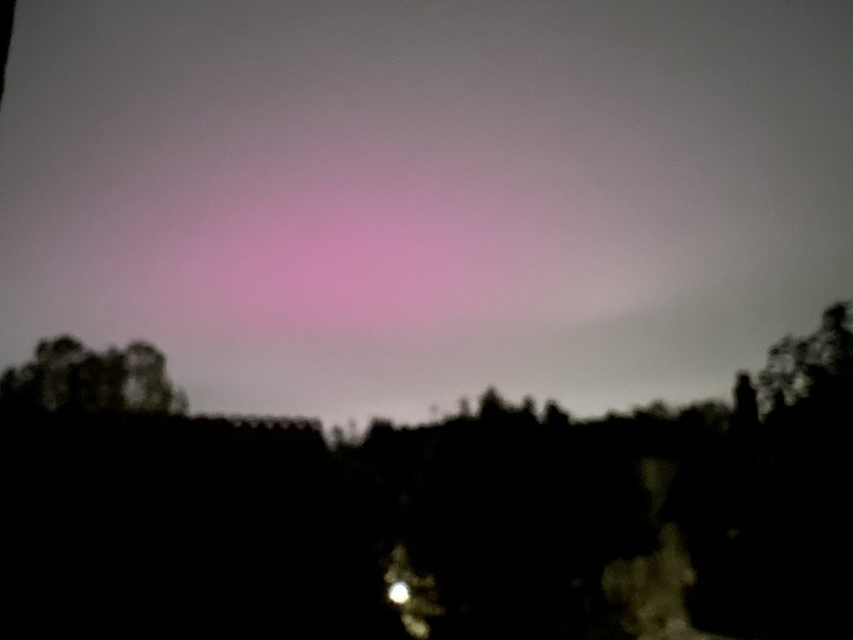 This was midnight in London last night. I walked for ages with the dog trying to work out what it was. Northern lights? 🤷‍♀️