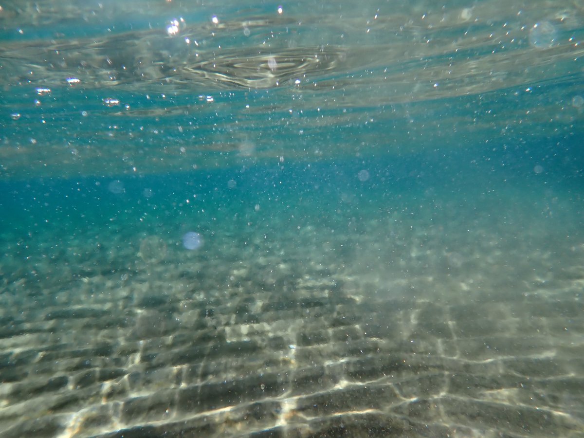 AMcCaughren's tweet photo. #UnderwaterPhotography #OceanPhotography #MarineLife #NaturePhotography #PhotoForSale #BuyArt #NFTPhotography #NFTArt #DigitalArt #FineArtPhotography #PhotographyForSale #InvestInArt #PhotoCollectors #ArtCollectors #ArtForSale #WildlifePhotography #NatureLovers #SaveTheOceans #ProtectOurPlanet #BluePlanet #ExploreTheOcean #EcoPhotography #OceanLove #WildlifeConservation #EarthCapture #CoralReef #DiscoverOcean #OurBluePlanet #WaterArt #MarineConservation #Photography #PhotoOfTheDay #ArtOfVisuals #InstaPhoto #AdventureAwaits #Wanderlust #TravelPhotography #EarthFocus #ExploreNature #NaturePerfection #WondersOfNature #VisualAmbassadors #BeautifulDestinations #NaturePix #StayAndWander