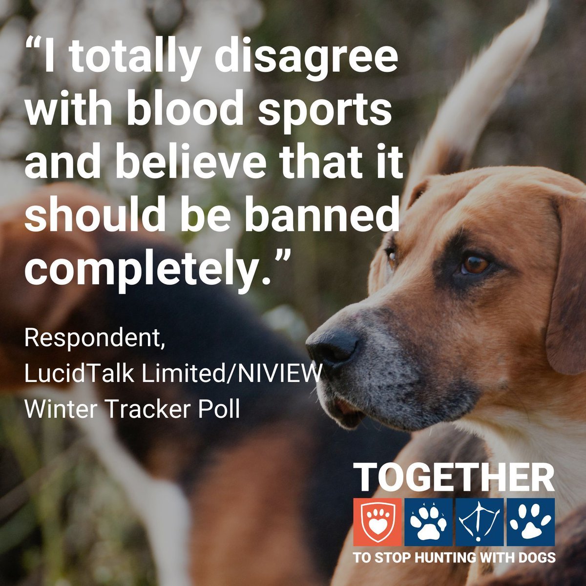 USPCA_Official's tweet image. As one of the most nature-depleted countries in the world, every effort should be made to preserve the existence of wildlife in #NI. 
 
Tell your MLAs that it’s time to stop using dogs to kill for fun 👉  buff.ly/3Cf2G8J 

#EndHuntingWithDogs