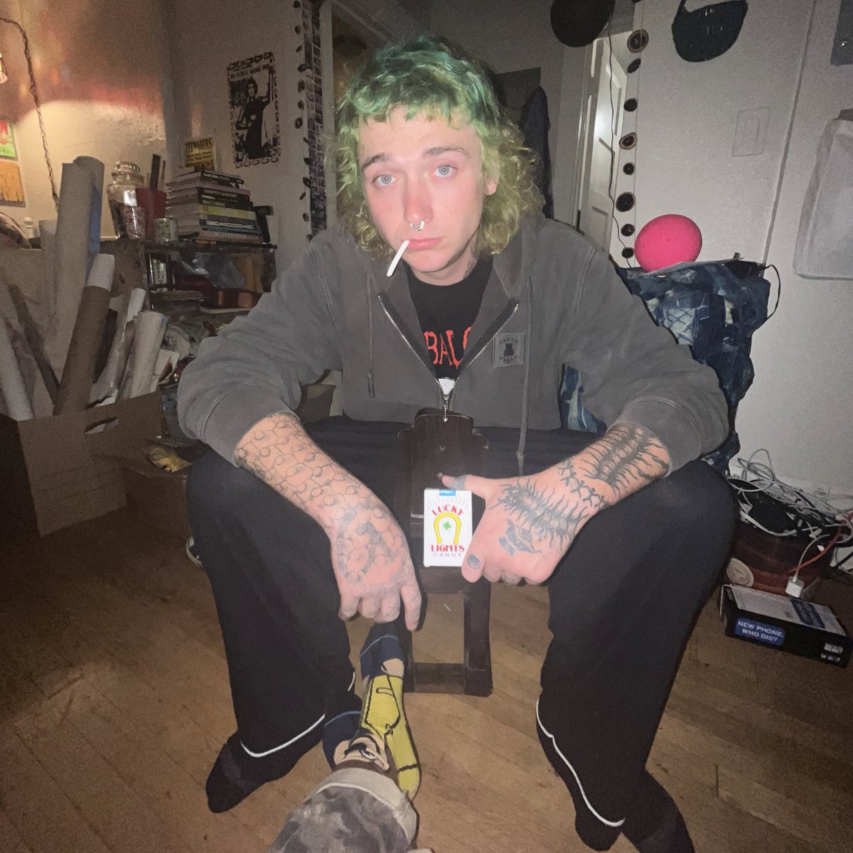 bugcolony's tweet image. have been busy loving my bitchwife #seagull #lifeisbeautiful #love