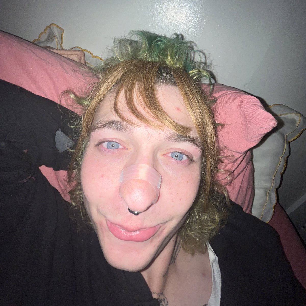 bugcolony's tweet image. have been busy loving my bitchwife #seagull #lifeisbeautiful #love