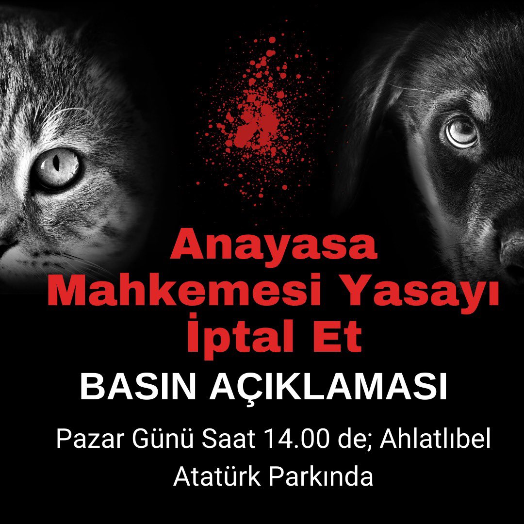 “Anayasa Mahkemesi Yasayı İptal Et.”

Ankara valiliği izinli BASIN AÇIKLAMAMIZA 
Bütün yaşam hakkı savunucuları ve vicdanlı insanları çağırıyoruz.

Tarih:  10 Kasım 2024 Pazar Günü Saat 14:00
Adres: Anayasa Mahkemesi önü Ahlatlıbel Atatürk  Parkı
<a href="/AYMBASKANLIGI/">Anayasa Mahkemesi</a> #YasayıiptaletAYM