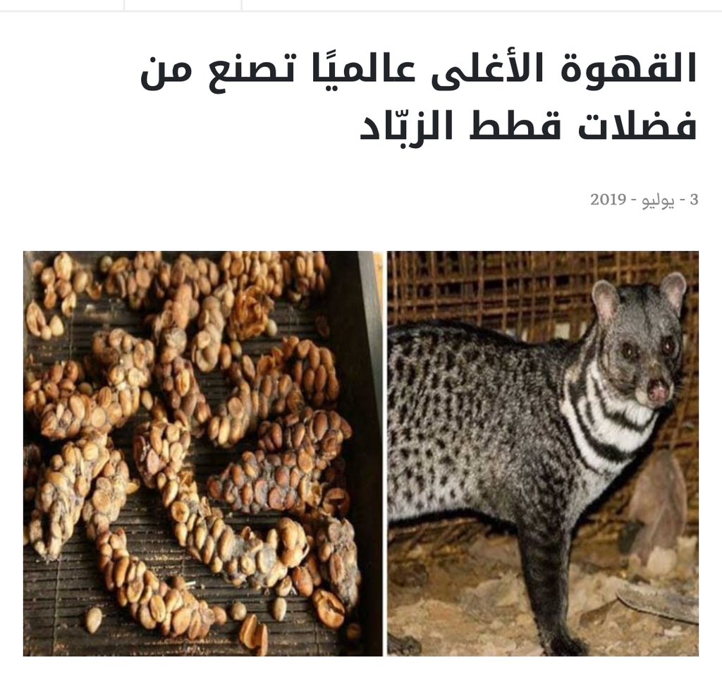 alnassar_kuw's tweet photo. ترتشف فضلات القطط مع قهوتها .. لأن الغرب صنعوها، وتنكر التداوي بعلاج حليب ووزر الإبل رغم أن النبي ﷺ وصى بالتداوي به، ورغم تجربته من قبل الكثير من المرضى الذين تشافوا به بعدما يئس الطب الحديث من علاجهم ..

عجييب .. https://t.co/EkVCexVB3y