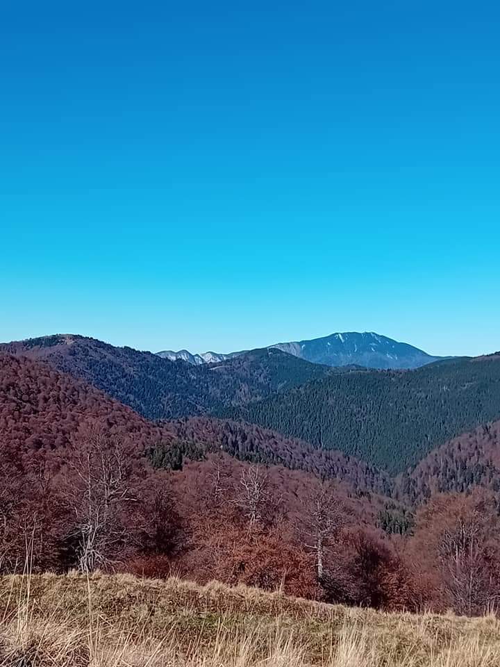 Travel_2Romania's tweet photo. Zilele frumoase de toamna te îndeamnă la drumeție! 🥾🚶🚶♀️ Azuga-Stana din Cazacu 🍂🍁❄️🇧🇪 județul #Prahova #Azuga #România
©️Vila La Gabi
#TraveltoRomânia https://t.co/VqDXqLrK90