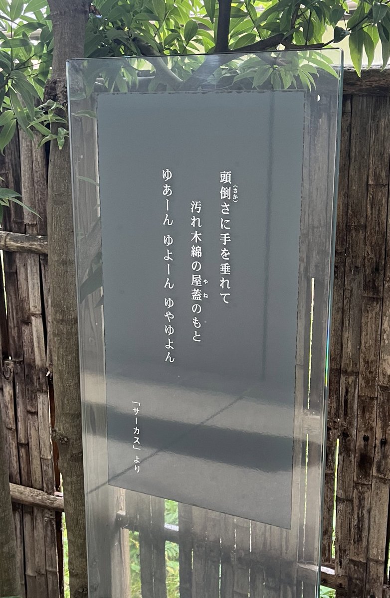 n年ぶりの山口旅行行ってきました!鍾乳洞とか景色いい所をたくさん見て回れて楽しかった〜〜〜〜〜〜!!!!
イラストは感想ノート的なやつに描いてきたやつです🐾