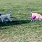 Photo by Uncle Fuzzzy (@unclefuzzzy)