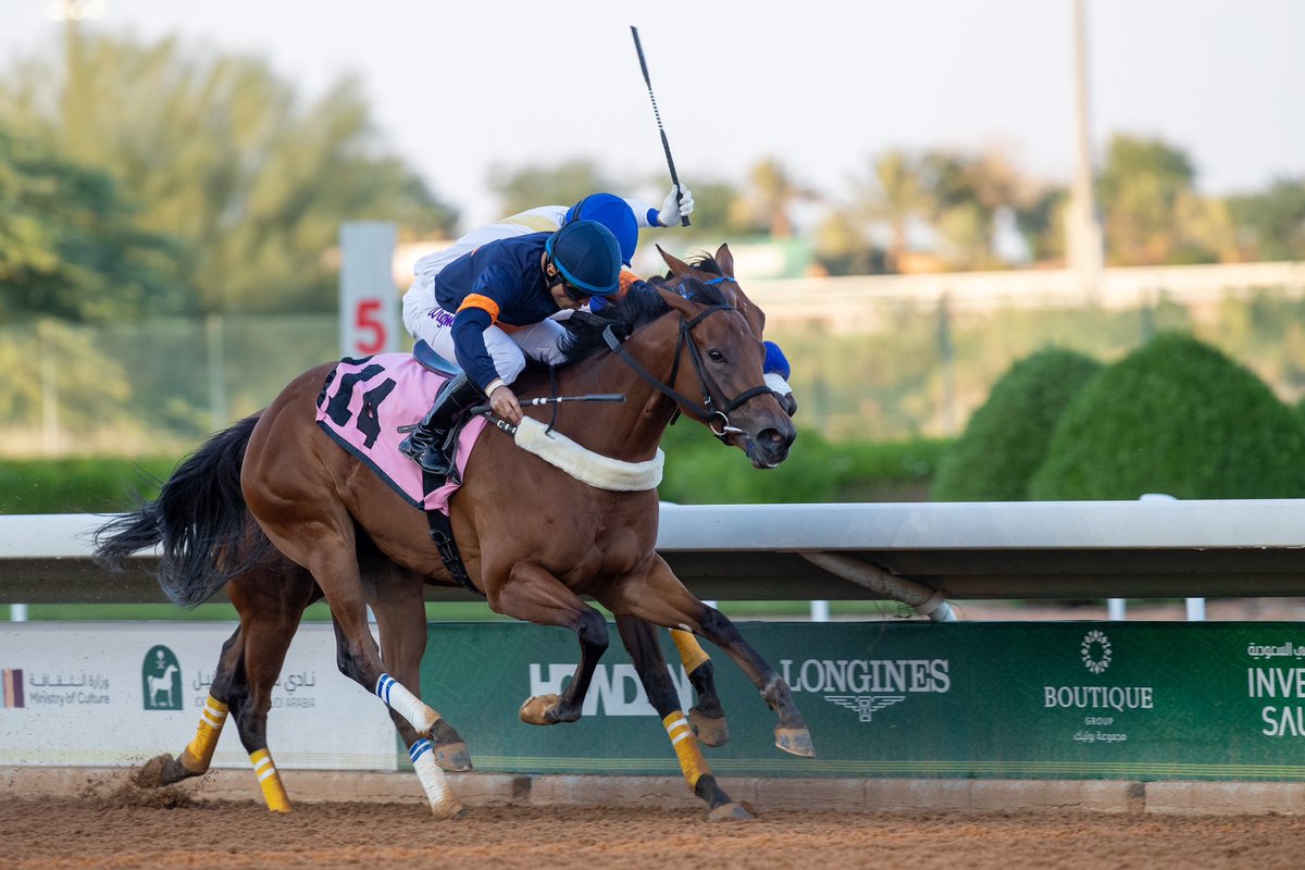 AlsayedRacing's tweet photo. سمحه القادمة من امريكا تحقق اول انتصار لها بالميدان السعودي 🇸🇦🥇🇺🇸 https://t.co/HTv4MLy2dn