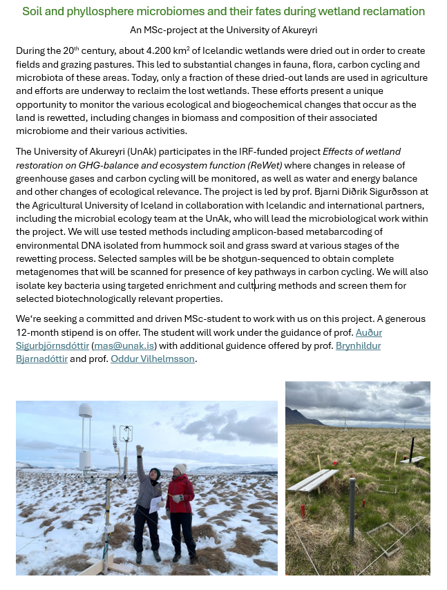 We're looking for an MSc-student interested in microbial ecology and carbon cycling