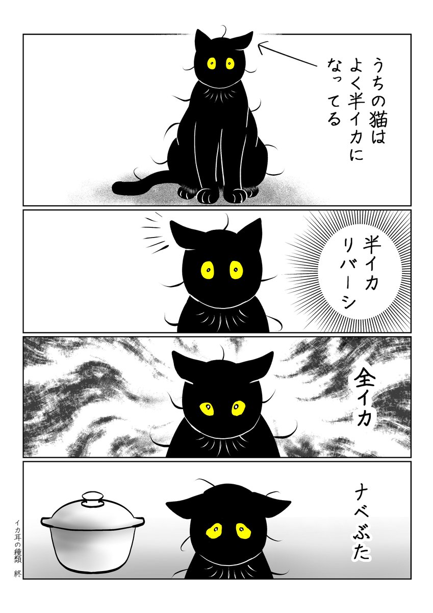 いろんな種類 
