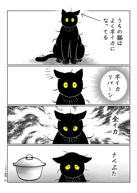 いろんな種類 
