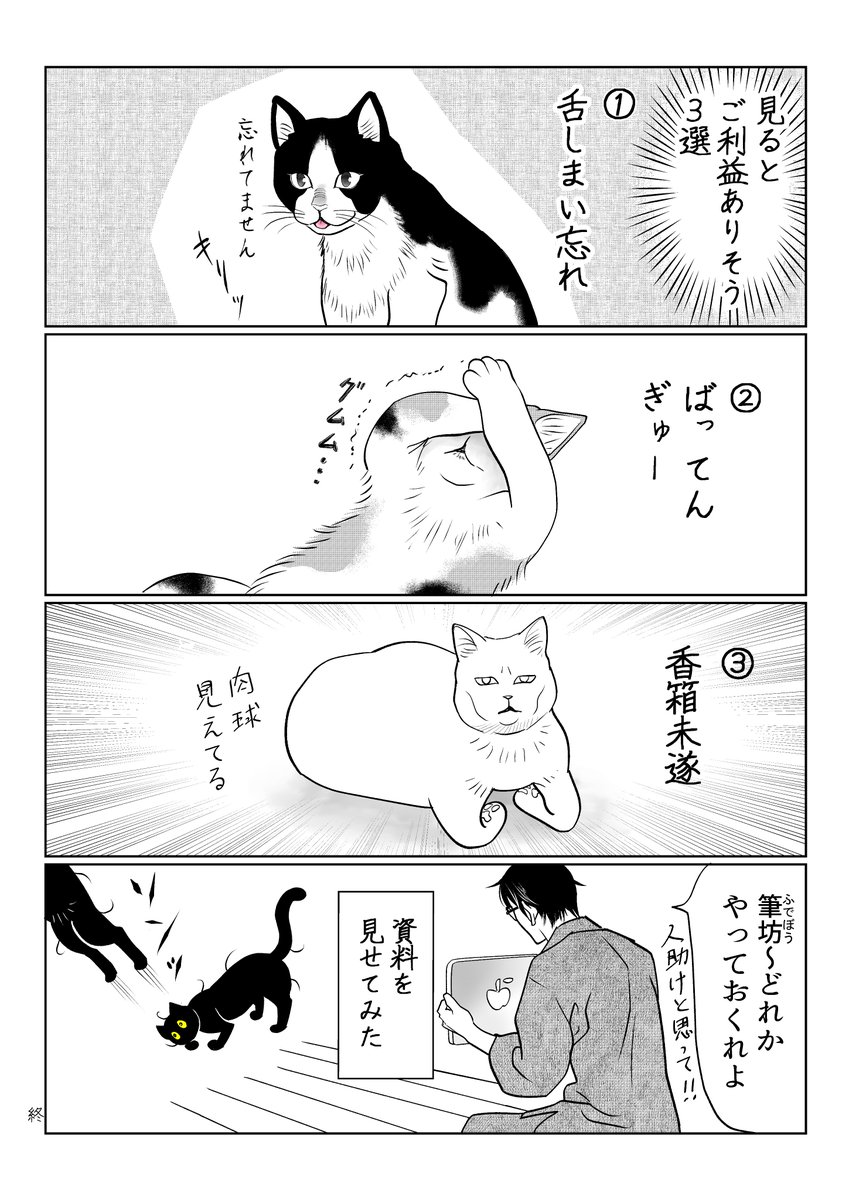 いろんな種類 