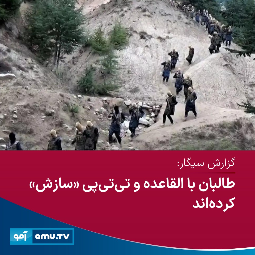 AmuTelevision's tweet photo. در بحبوبه نگرانی‌های ایالات متحده، سازمان ملل متحده و کشورهای منطقه از مبدل شدن افغانستان به «پناهگاه امن هراس‌افکنان»، اداره بازرس ویژه ایالات متحده در بازسازی افغانستان (سیگار) در شصت و پنجمین گزارش فصلی‌اش گفته است که گروه‌های «هراس‌افکن» هنوز هم در افغانستان به فعالیت خود ادامه داده‌اند.

سیگار در بخش امنیت این گزارش گفته است که طالبان از تی‌تی‌پی پشتیبانی می‌کنند و برای القاعده اجازه داده‌اند تا پناه‌گاه‌های امن خود در افغانستان را حفظ کند.

این گزارش افزوده است: «طالبان با شبکه القاعده و تی‌تی‌پی سازش می‌کنند.»

این نهاد با استناد به یک گزارش ملل متحد گفته است که ۱۲ عضو و رهبر ارشد شبکه القاعده هم اکنون در افغانستان هستند.

بیش‌تر بخوانید:
https://t.co/HfmLtfO7VQ