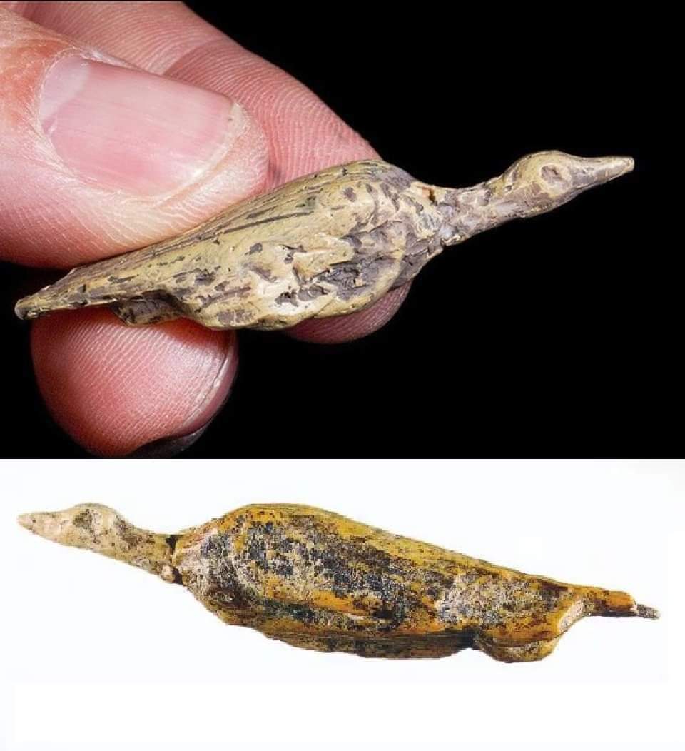 Dr_TheHistories's tweet photo. A 33,000 years old small carving of a bird found in the Hohle Fels cave in Germany in 2002. Sculpted in mammoth ivory, it's the earliest known representation of a bird.

Blaubeuren Prehistory Museum, Baden-Württemberg, Germany

#drthehistories https://t.co/4PhrB3LZRp