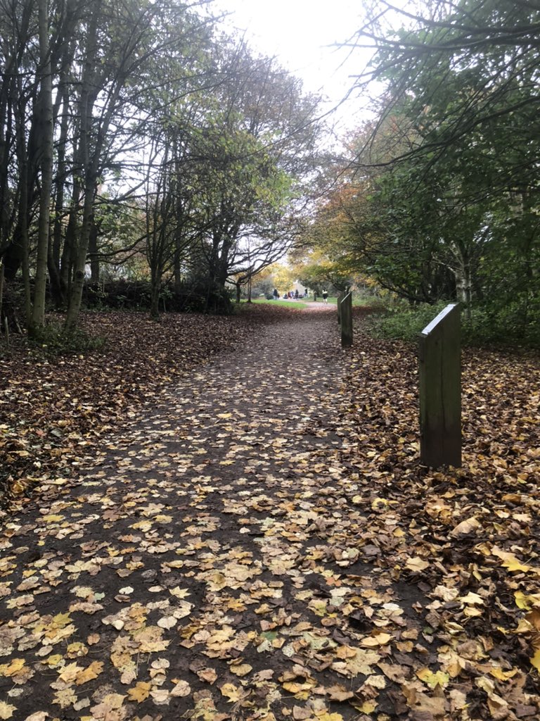 SamABaxter's tweet image. Rosliston parkrun this morning. It was very much what I was expecting. An amazing route if you like a trail run. A couple of cunning inclines at half way and at the end.