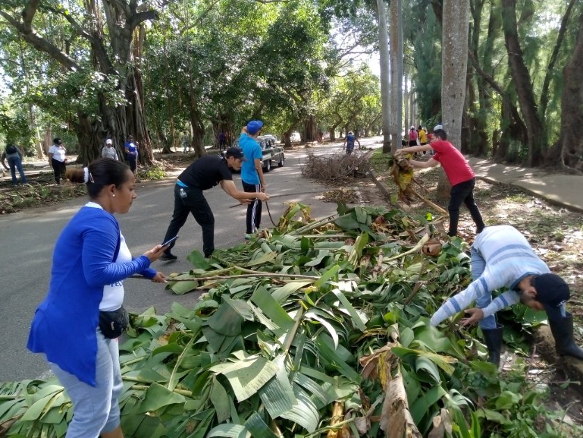 UJCdeCuba's tweet photo. Cargados de la energía que nos caracteriza como jóvenes 🇨🇺 y con muchas ganas de hacer y aportar por #Cuba, llegamos hoy en otra intensa jornada de trabajo, hasta 5ta Avenida para apoyar en las labores de recuperación.
#FuerzaCuba 
#UJCdeCuba 
@MeyvisEstevezE 
@manuel https://t.co/kHeD4m7gA5